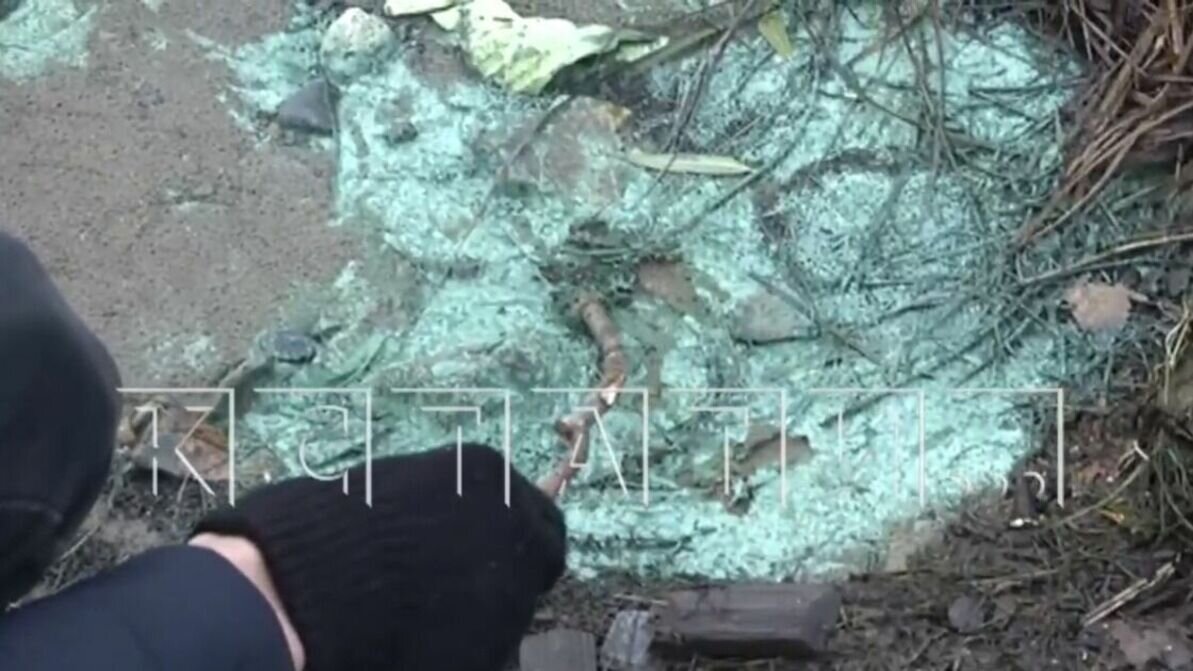     Берег Волги позеленел в Балахнинском районе. Предположительно, его залило неизвестным химическим веществом. Об этом сообщается в сюжете «Кстати».