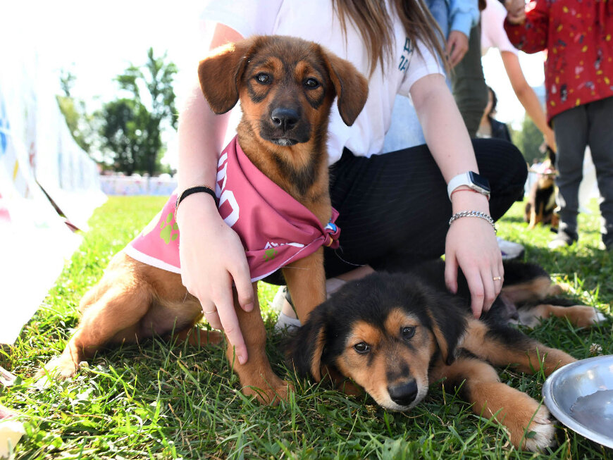 Фото: Город Казань KZN.RU