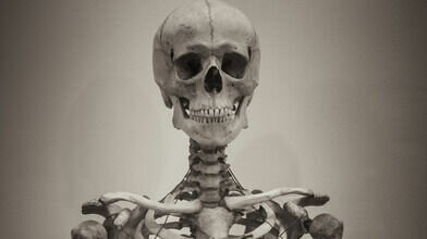     В нынешнем году в Ростовской области зафиксирована высокая убыль населения, следует из данных Росстата.