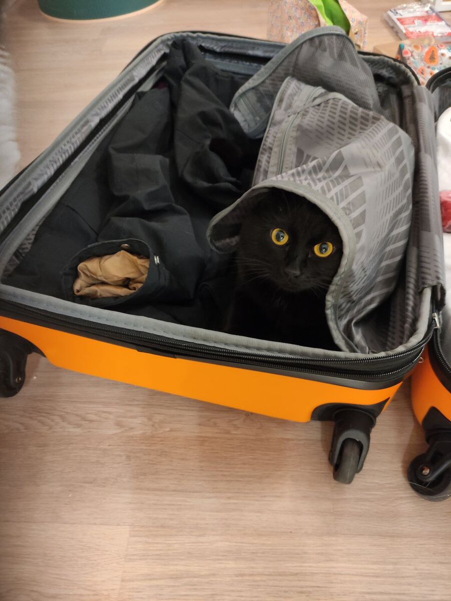 Самый ценный груз