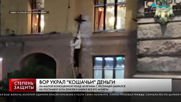 В Петербурге снова ограбили кота Елисея. Видео © Телеканал "Санкт-Петербург"