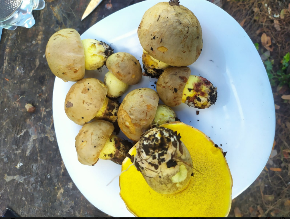 Автор фото Ольга С.