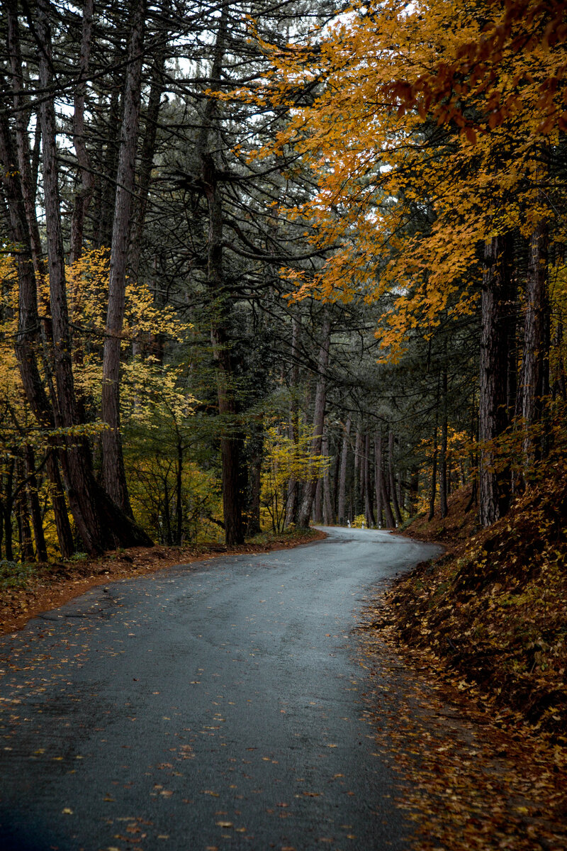 Дорога на Ай-Петри и ее изгибы.