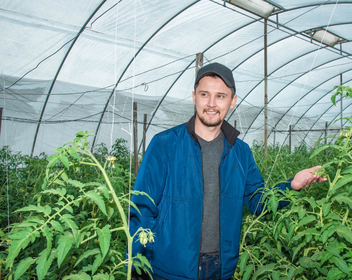 Строения возведены по технологии, которая помогает избежать лишних энергозатрат