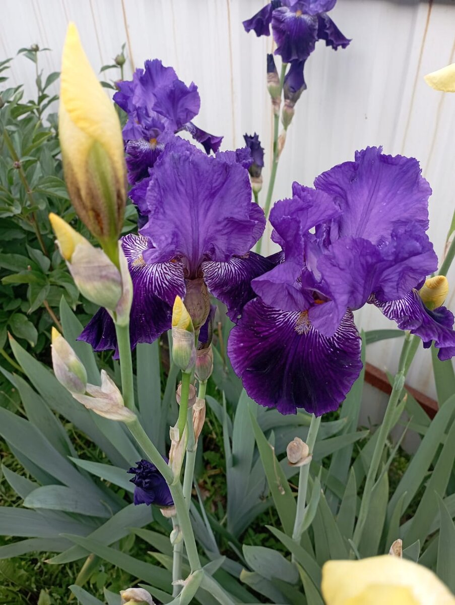 Фото Андреевой