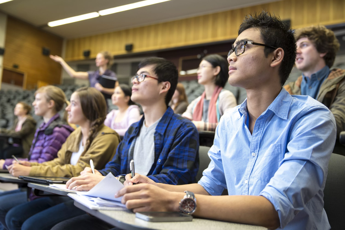 Course of study. Образование в новой Зеландии. Среднее профессиональное образование в новой Зеландии. Высшее образование в новой Зеландии. Профессиональное образование в Австралии.