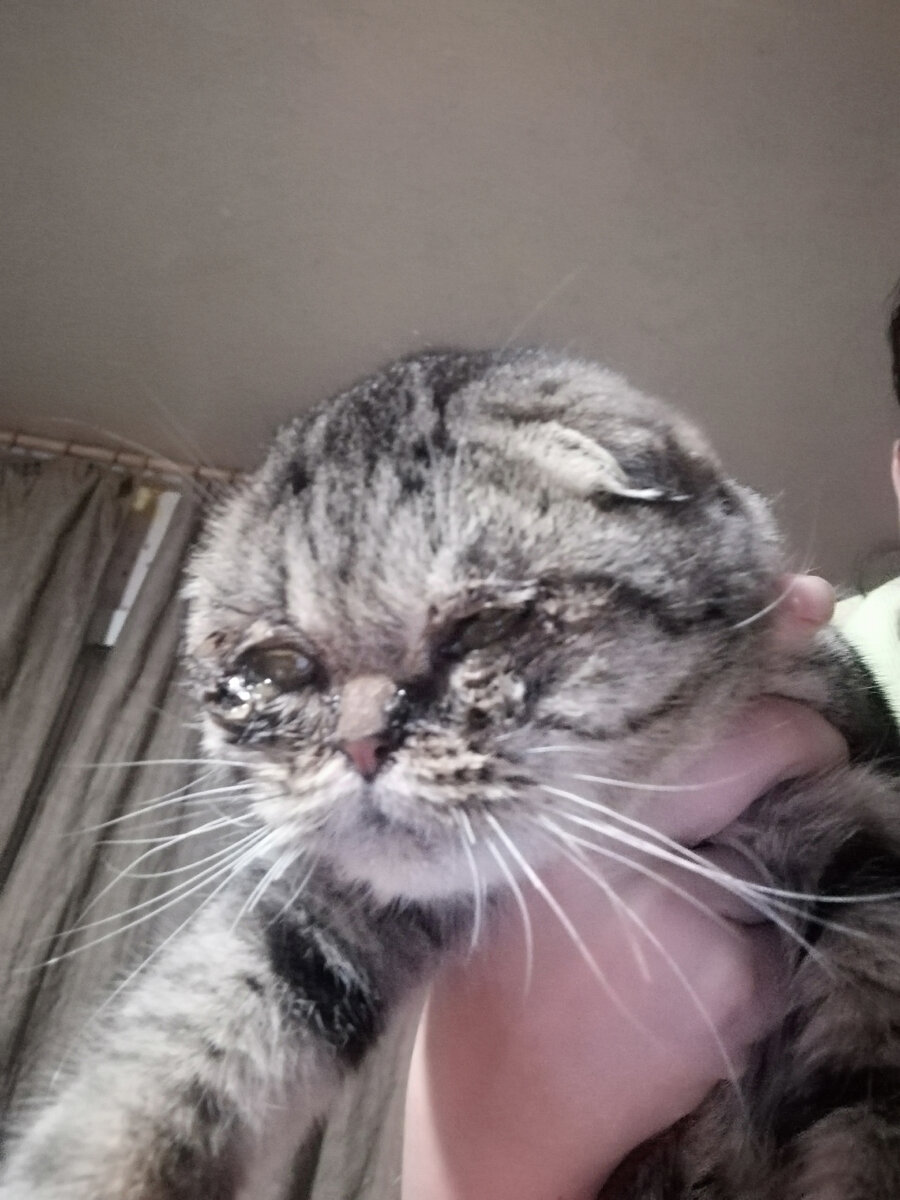 Первая встреча. Малыш.