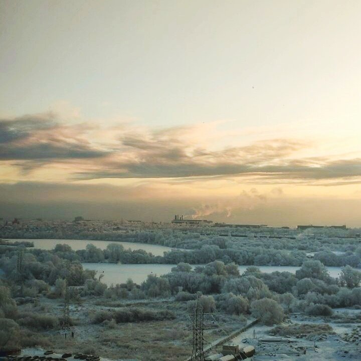 Зима близко, милорд! Купите мне пуховик! 😆