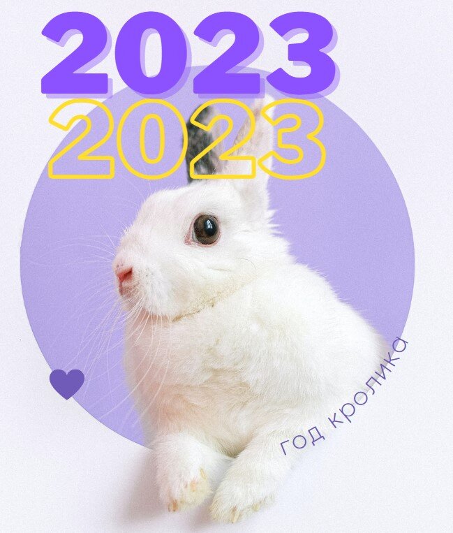 Год кролика 2023