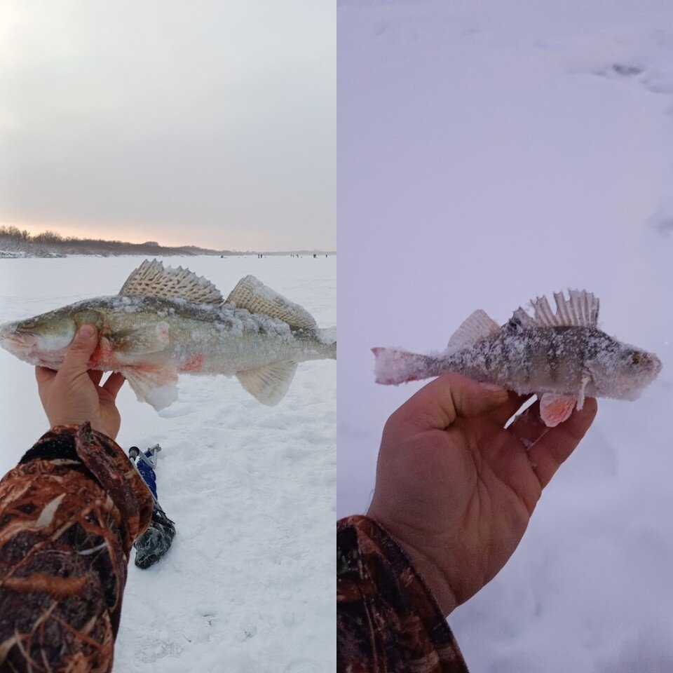     Фото: SFC - РЫБАЛКА, АКТИВНЫЙ ОТДЫХ В ТОМСКЕ/Павел Атякин