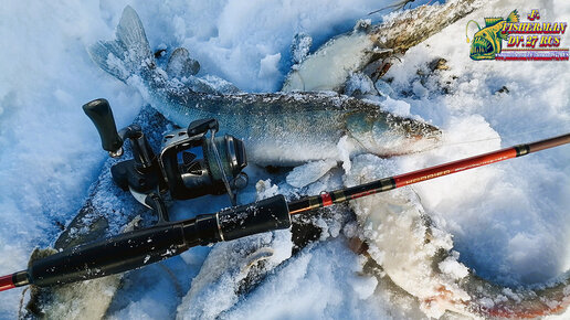 Рыбалка на Амуре с Fisherman dv.27rus. 11.12.2022г. Зимний спиннинг!