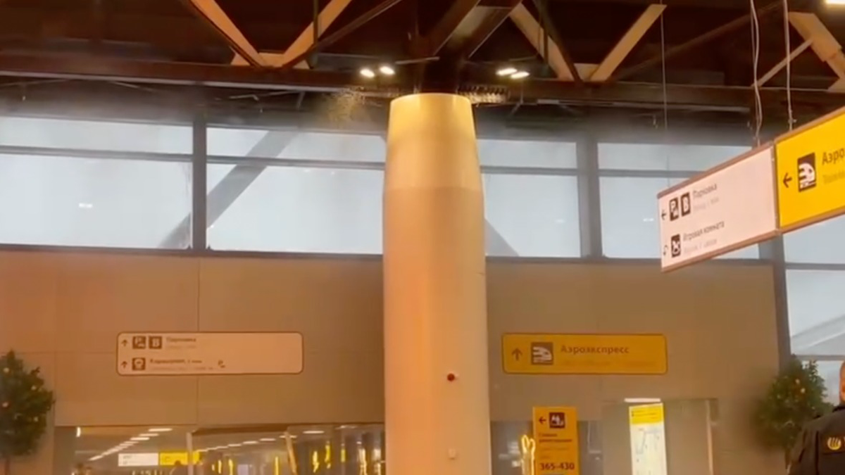    Фото: Telegram / Baza