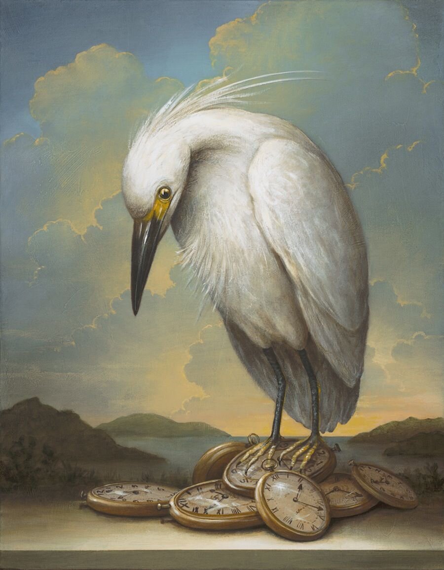 Кевин слоан. Художник кевин слоан kevin. Аллегория животные. Сюрреализм кевин солан. Аллегория животные.