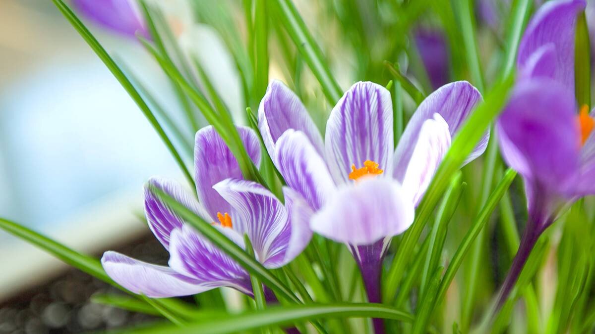    Фото: Официальный сайт мэра Москвы / mos.ru