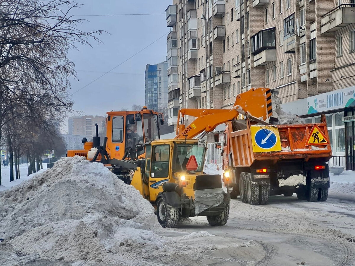   
 Фото: Комитет по благоустройству Петербурга