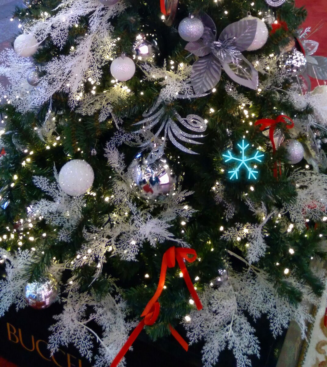 Wishing you beautiful moments, treasured memories, and all the blessings a heart can know. Happy New Year! 