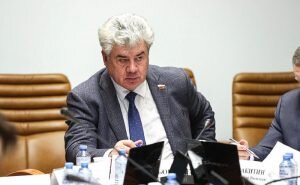    Фото: council.gov.ru Ирина Амелина