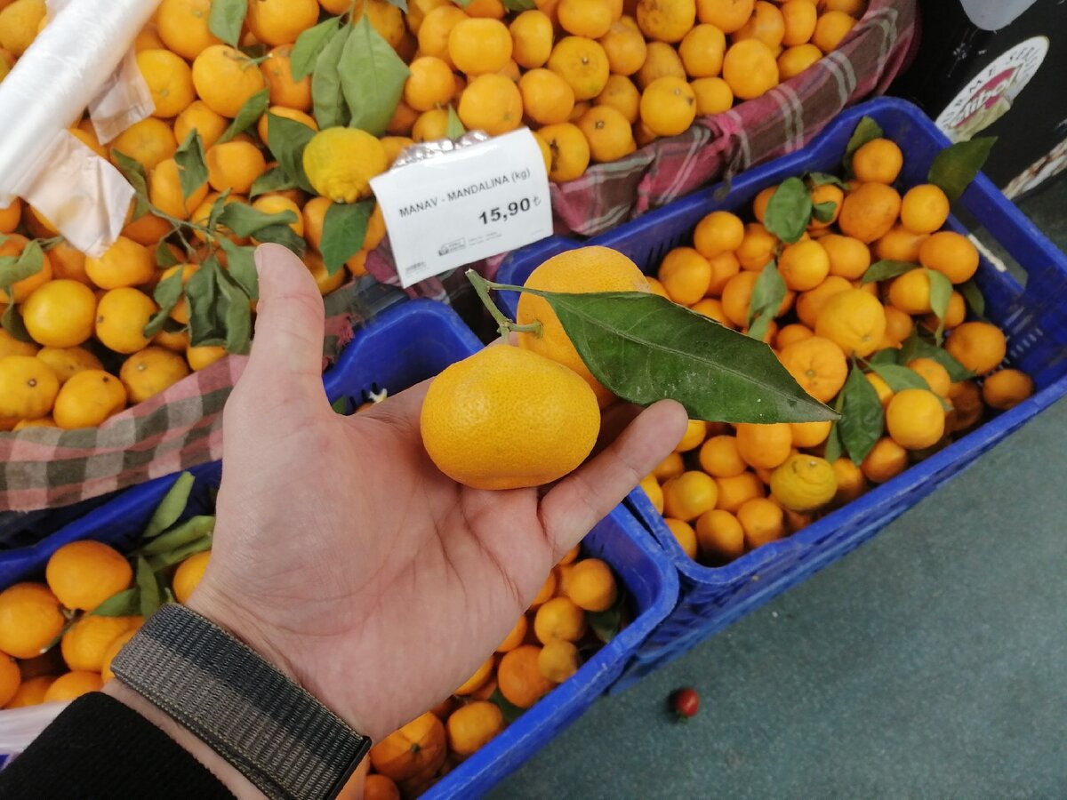 Мандарины магнит. Мандарин стоит. Апельсины 1 кг. Азербайджанские мандарины. Мандарины пикабу.