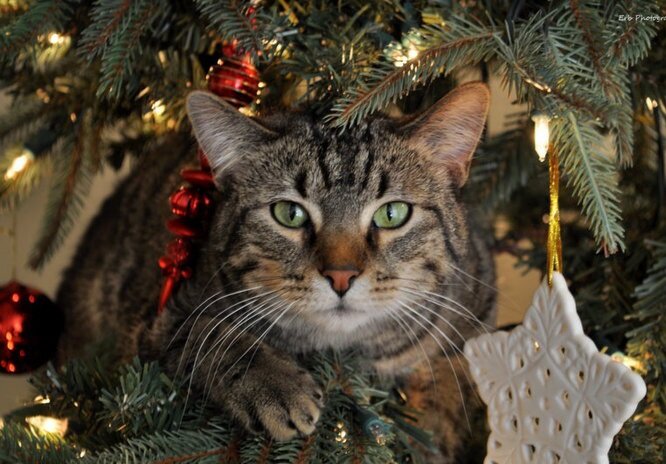 Источник: Яндекс картинки