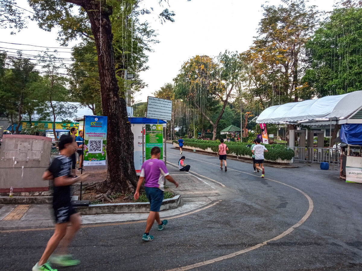 Опасный Бангкок | Про parkrun, парковые забеги, S95, 5 вёрст и runpark |  Дзен