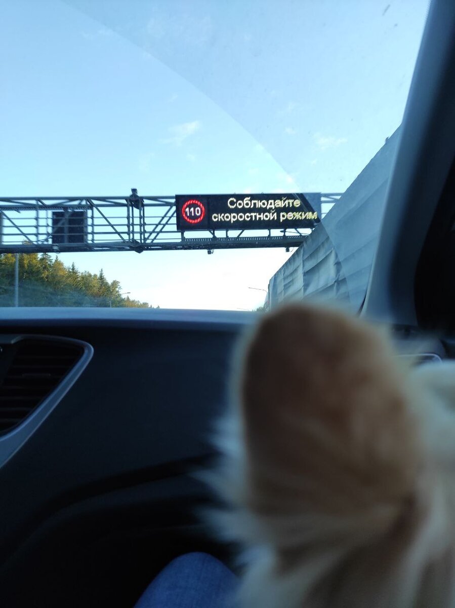    На нечищеных и скользких трассах Брянской области до 1 апреля ограничили скорость до 70 км/ч: во, выход! avchernov