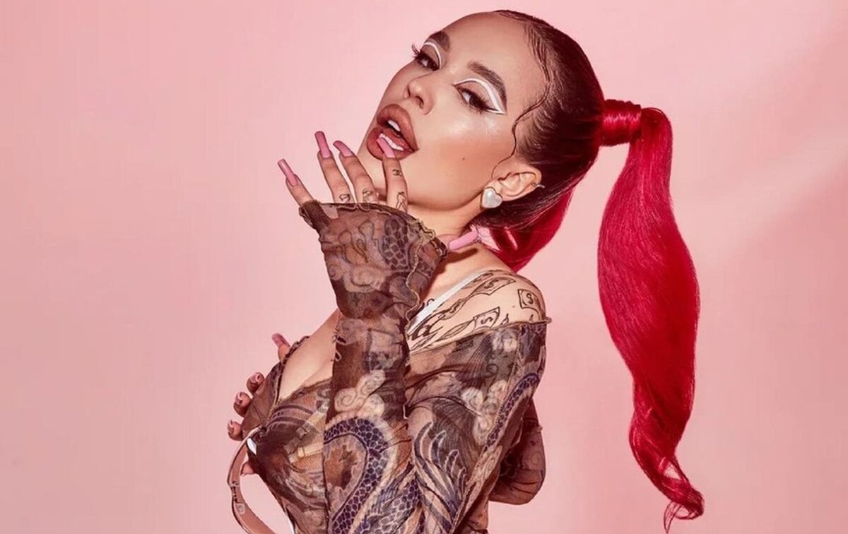    Инстасамка Фото: Инстаграм (запрещен в РФ)