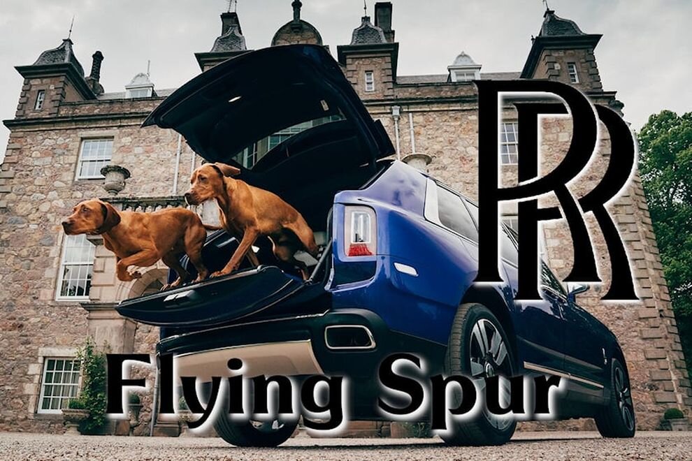 Имя fly. Rolls Royce. Собака Бугатти. КАМАЗ Rolls Royce. Роллс Ройс реклама рыба.