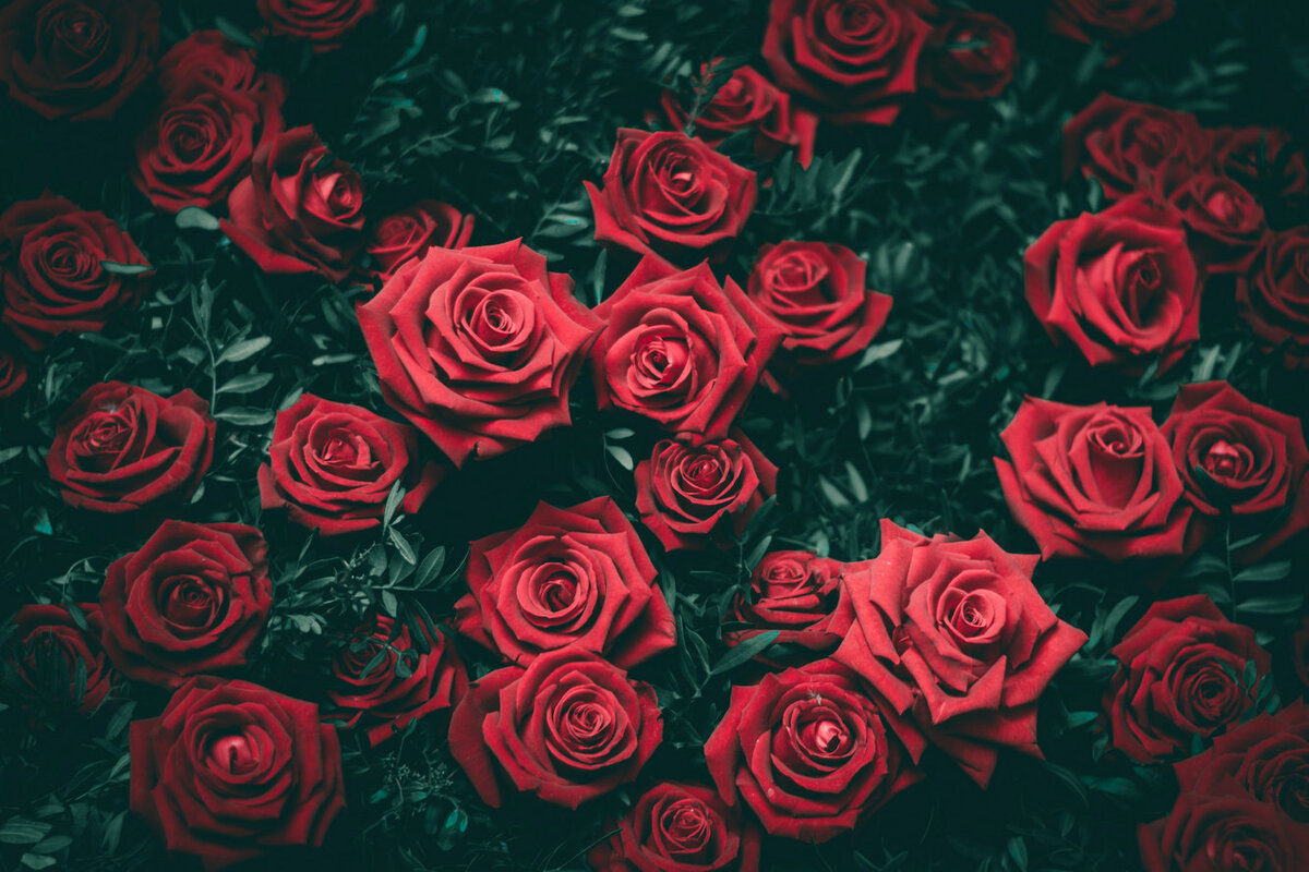   Фото: unsplash.com