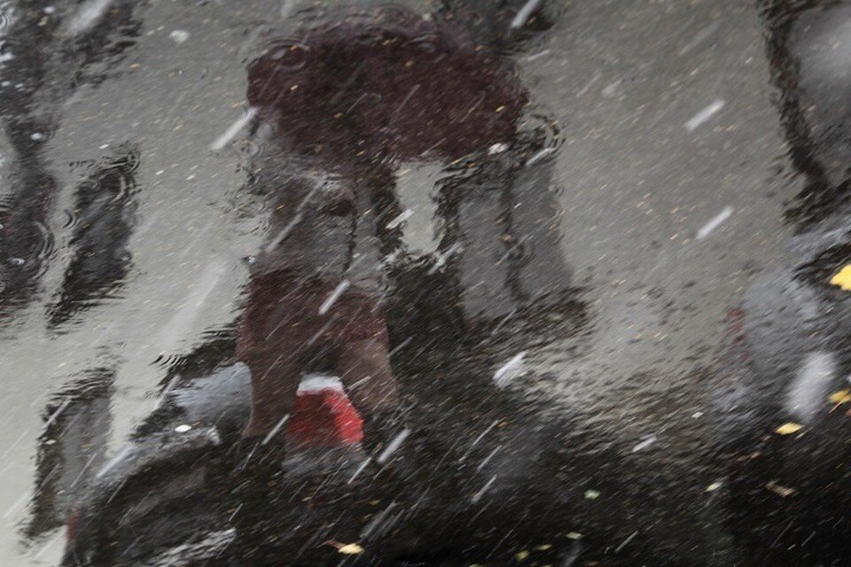     Такой жары не было полвека. Синоптики ошарашили прогнозом погоды на Новый год Дмитрий АХМАДУЛЛИН