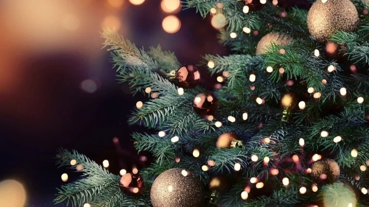 Предстоящие выходные будут самыми яркими в уходящем и будущем году. Фото: pxhere.com