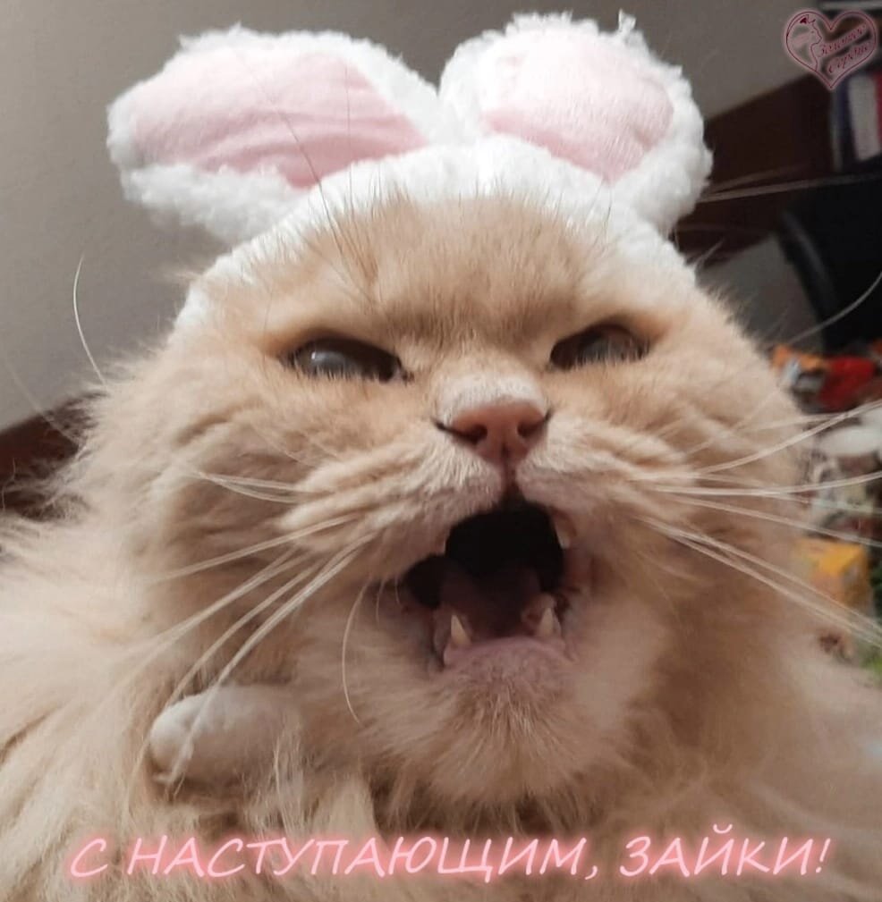Филя поздравляет всех