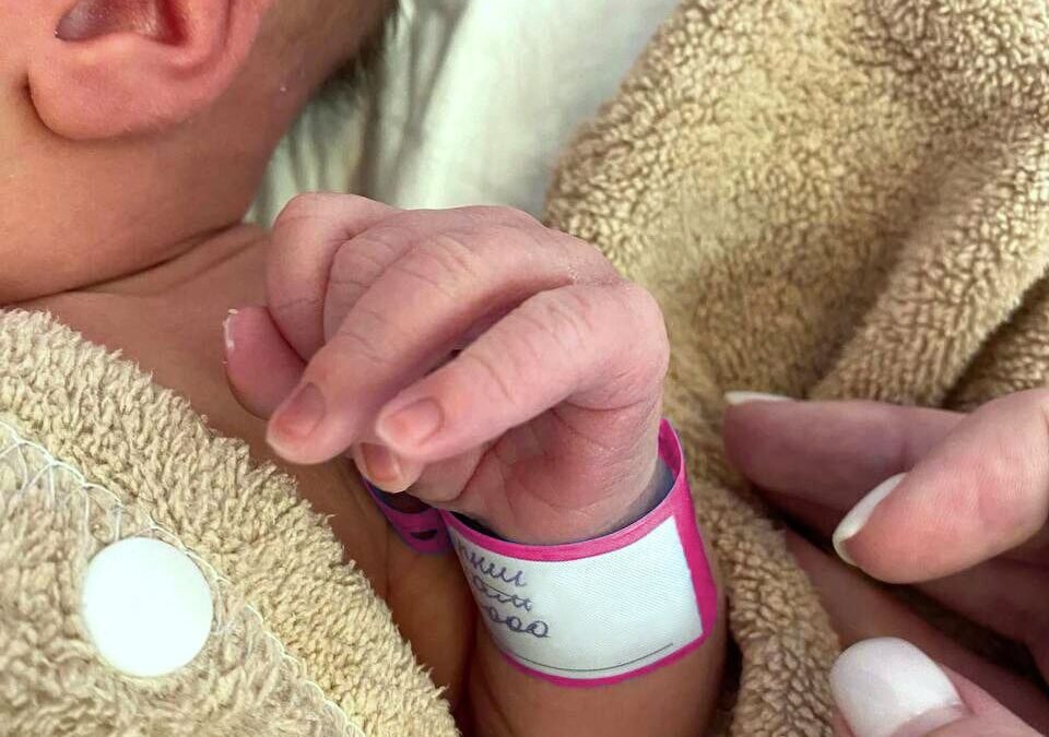 Телеграм-канал Александра Моора📷
