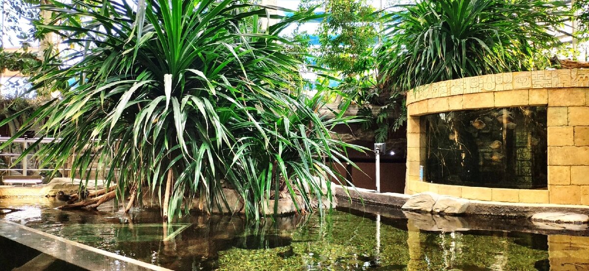 Фото туристов