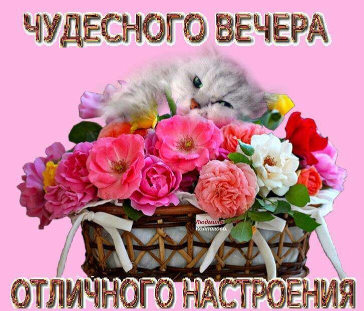 Добрый вечер картинки для настроения бесплатно Открытка чудесного вечера. Людмила Бондаренко Дзен