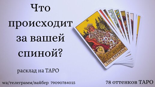 что между ними происходит таро