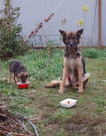 Ника и ее мама Лаки