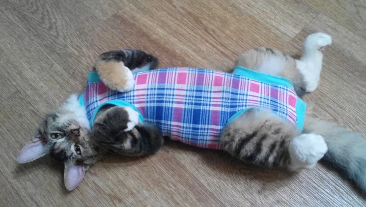 специальный костюм после операции