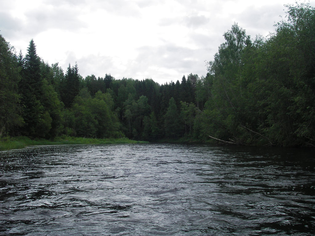 Вода кулой. Кулой (река, впадает в белое море). Река Кулой Вологодская область. Кулой (приток ваги).