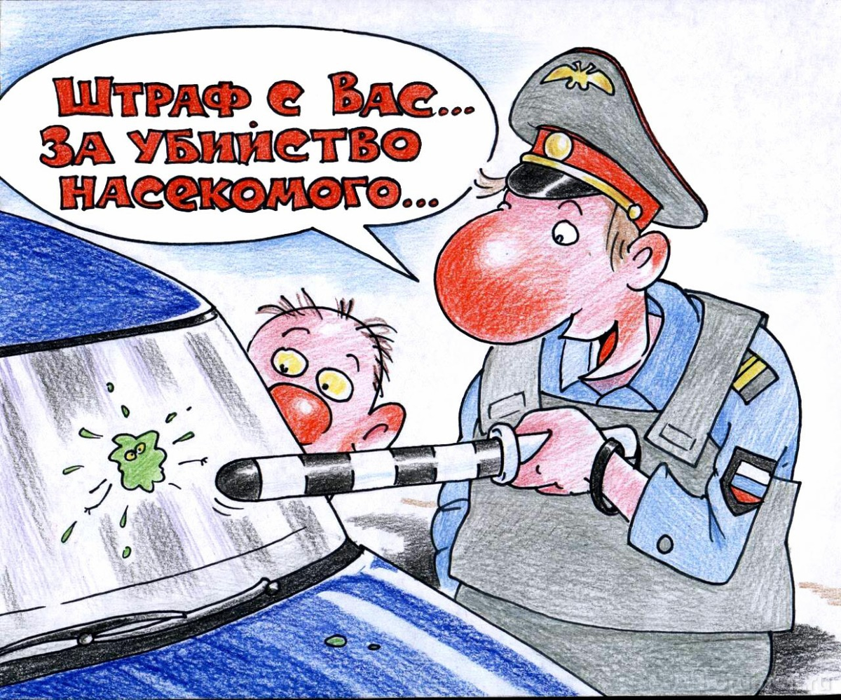 Пдд картинки смешные