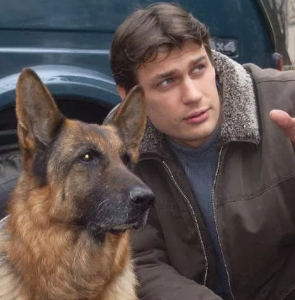 Кадр из сериала "Возвращение Мухтара"