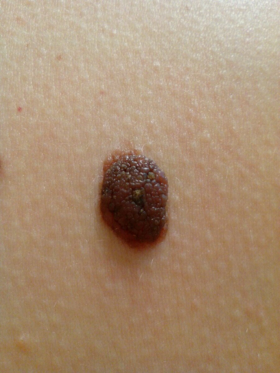 Источник: Yandex.ru