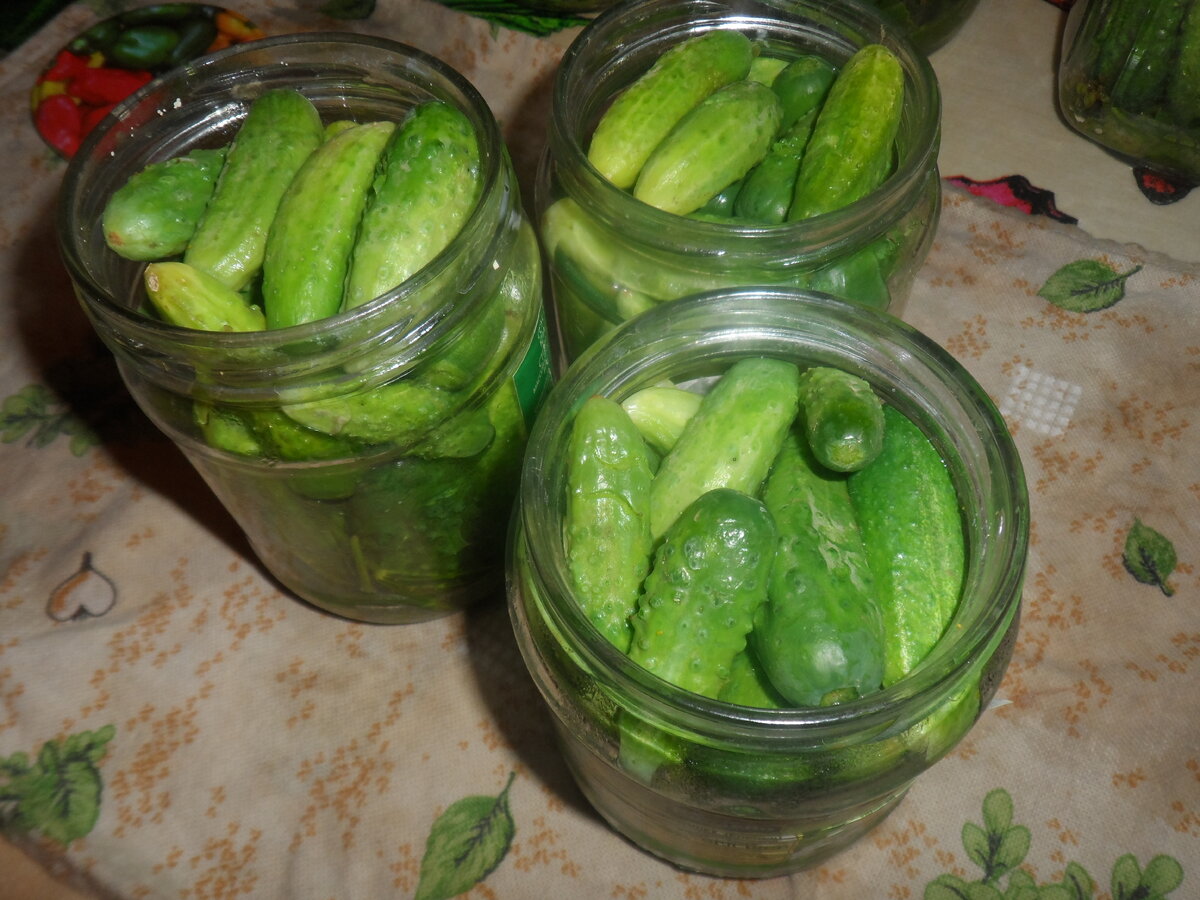 Подписывайтесь на канал ""Моя домашняя кухня!