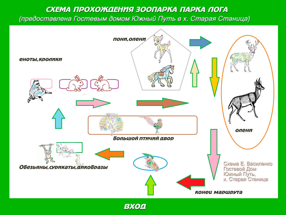 Современную эволюционную теорию можно представить в виде следующей объясните руководствуясь схемы