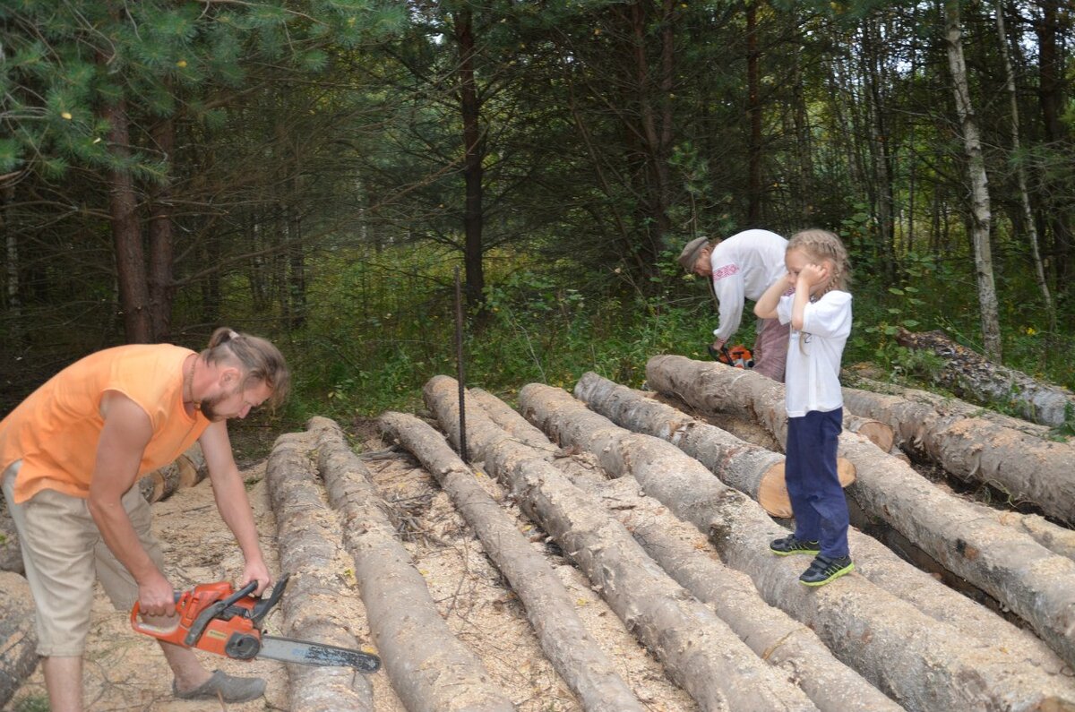 Заготавливать дрова можно из привозных хлыстов. Так значительно дешевле, чем покупать готовые колотые дрова. Но дешевле всего пилить свой подросший лес на участке. Особенно, если участок большой  2-3 гектара.