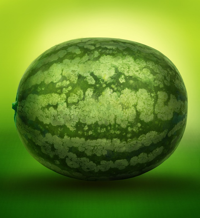https://pixabay.com/illustrations/watermelon-melon-green-fruit-630276/
