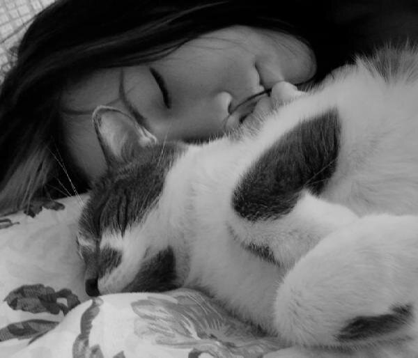 Яндекс. Картинки.