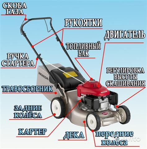 Конструкция бензиновой газонокосилки