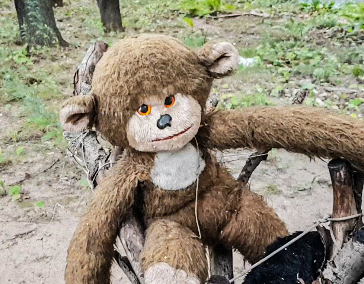 Фото автора