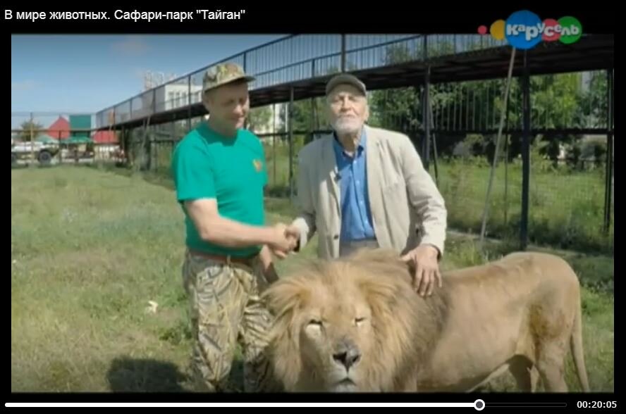 Скриншот с видео