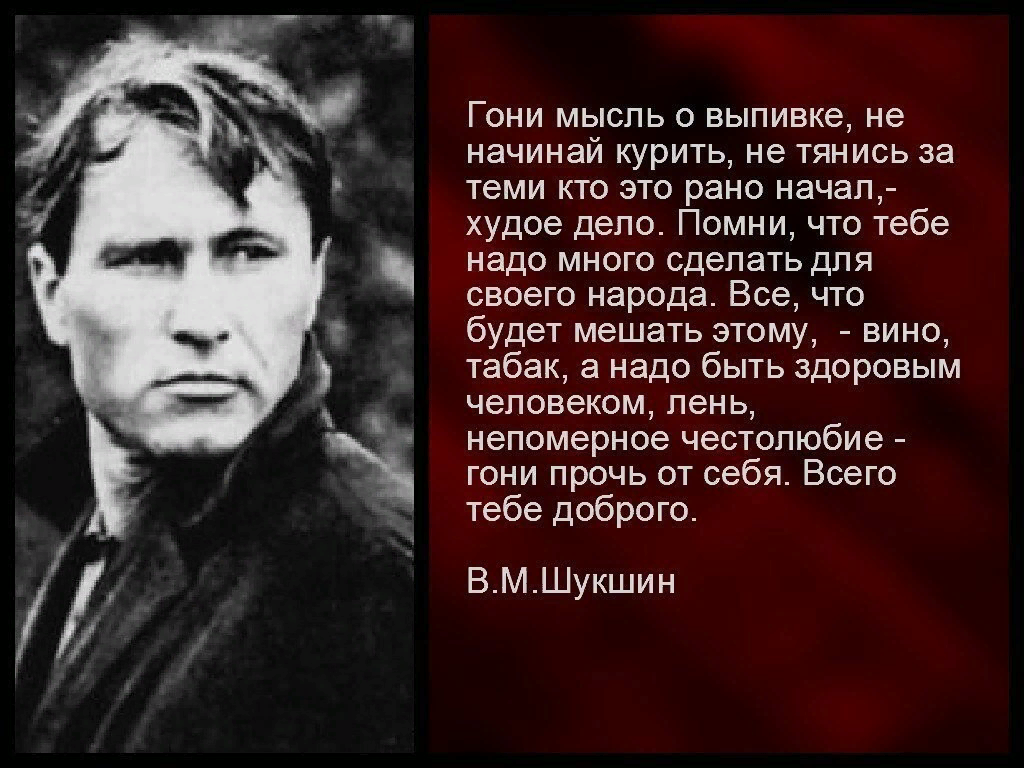 Героев отличают упрямство и динамизм шукшин. Цитаты Василия Шукшина.